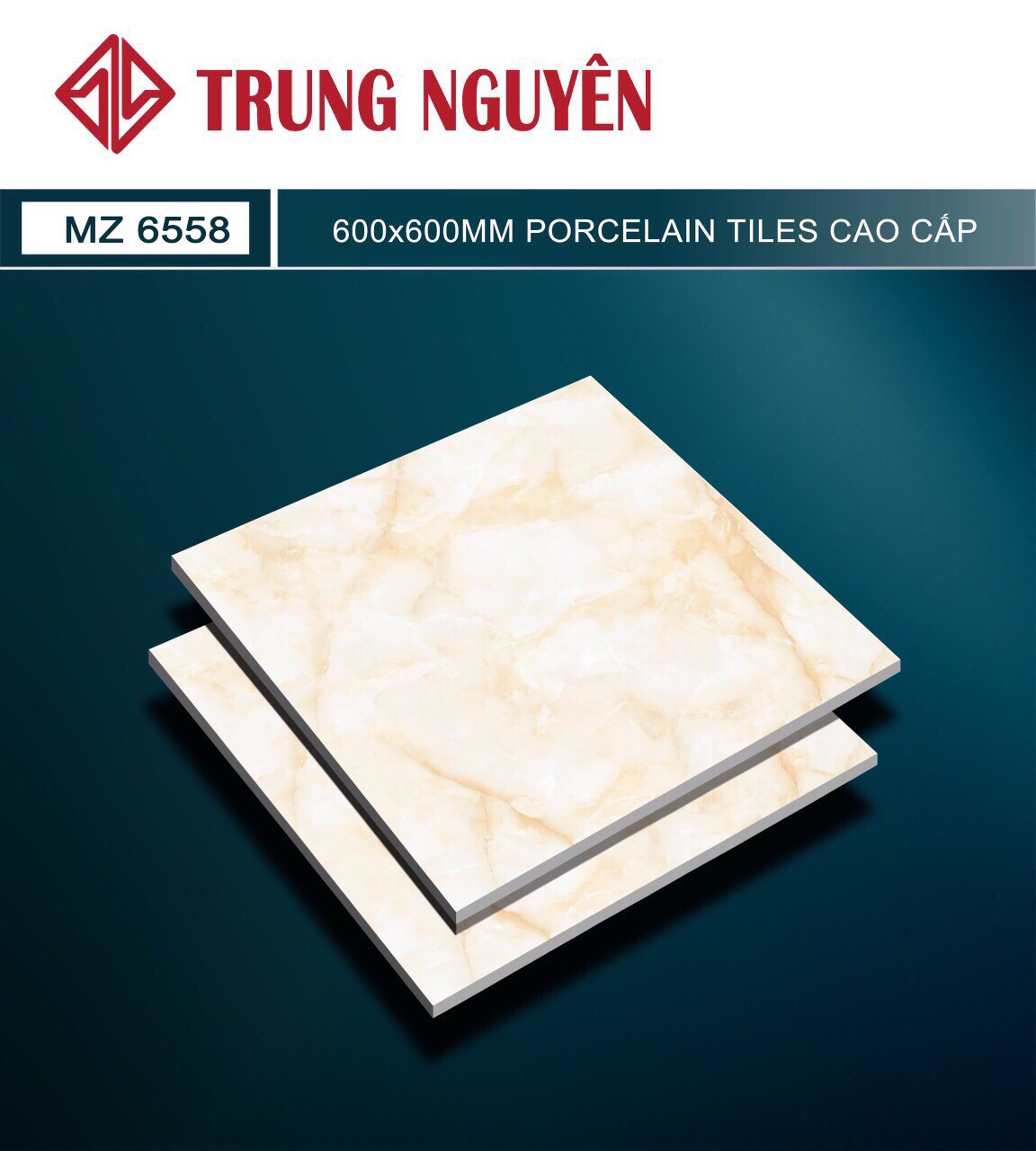 Gạch bán sứ bóng 60x60 TN MZ6558