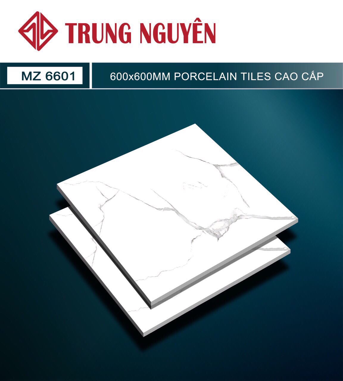 Gạch bán sứ bóng 60x60 TN MZ6601