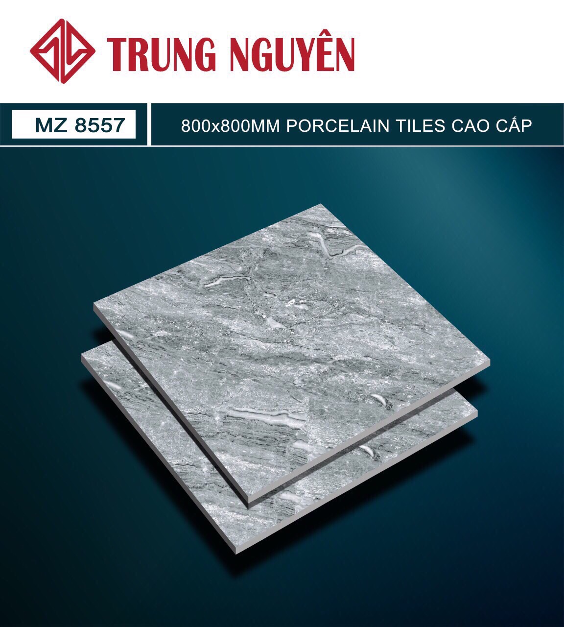 Gạch bán sứ bóng 80x80 TN MZ8557