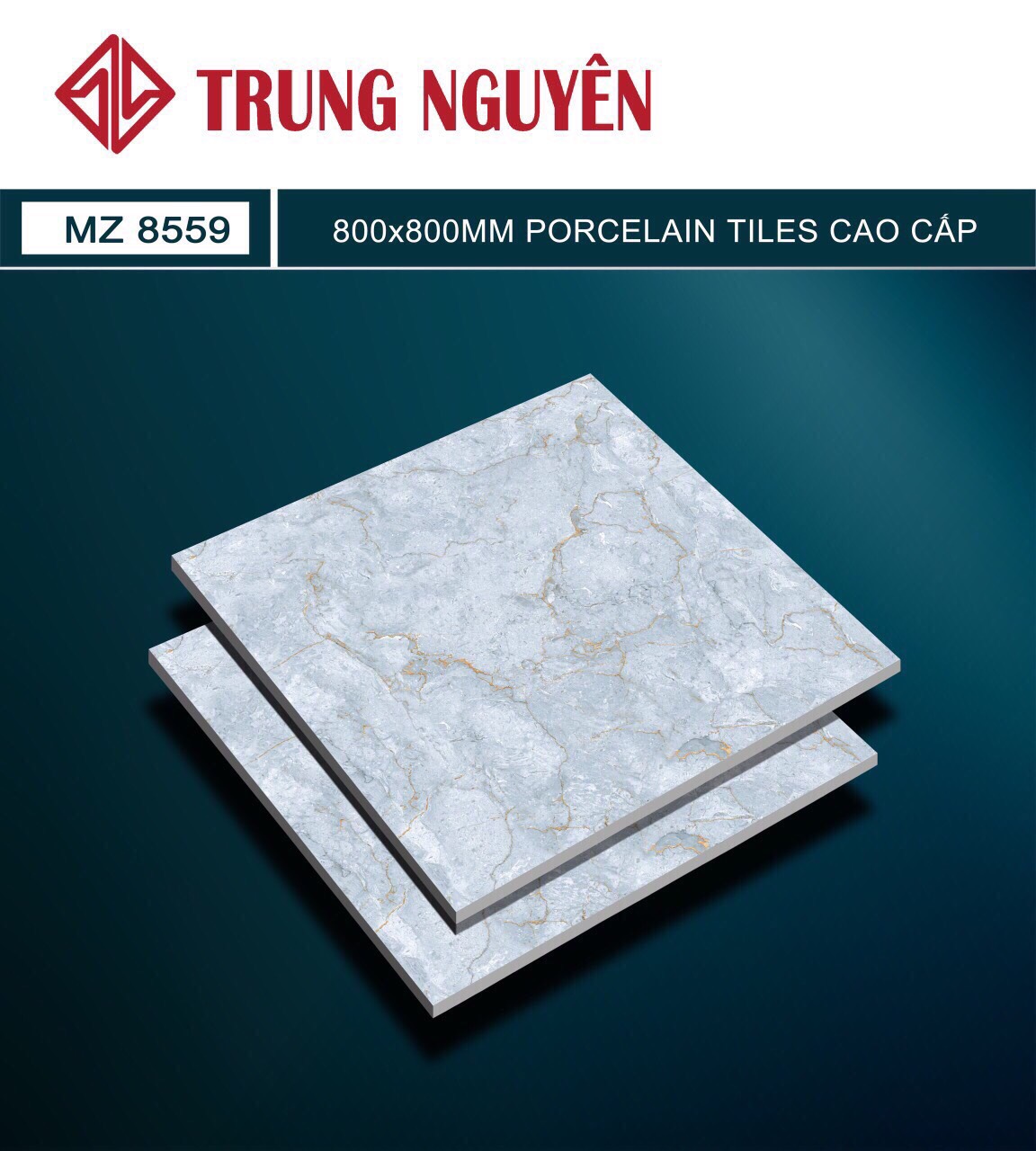 Gạch bán sứ bóng 80x80 TN MZ8559