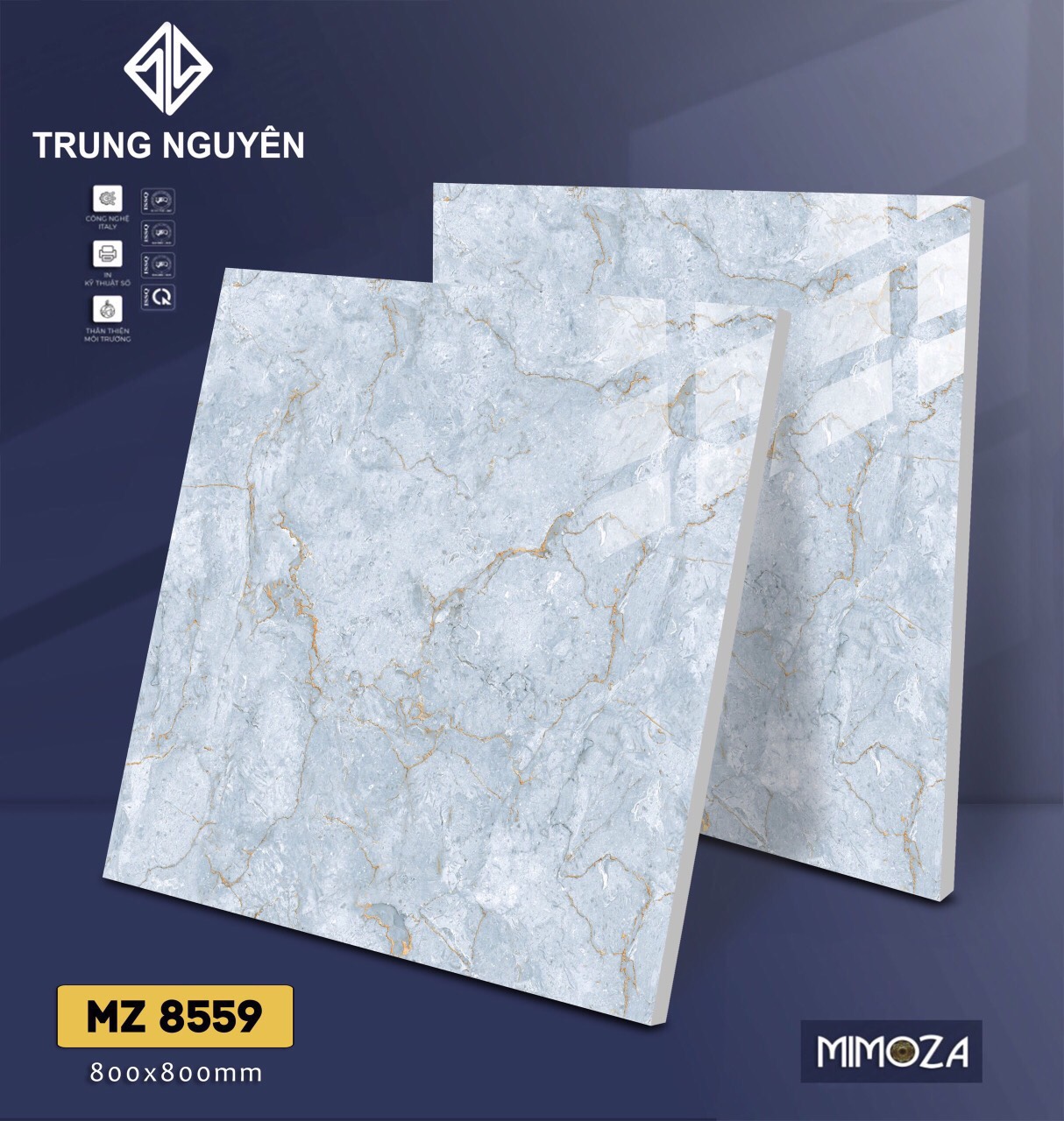 Gạch bán sứ bóng 80x80 TN MZ8559