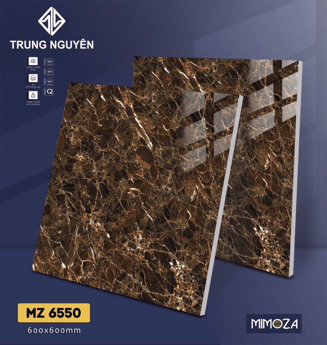 Gạch bán sứ bóng 60x60 TN MZ6550