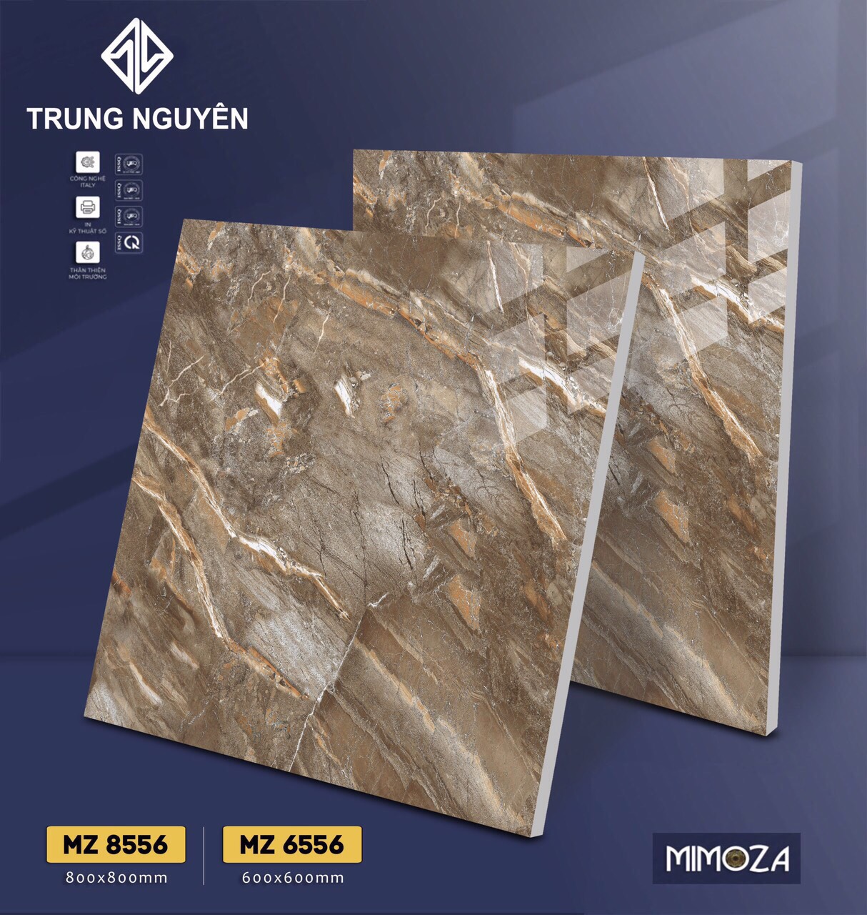 Gạch bán sứ bóng 80x80 TN MZ8556